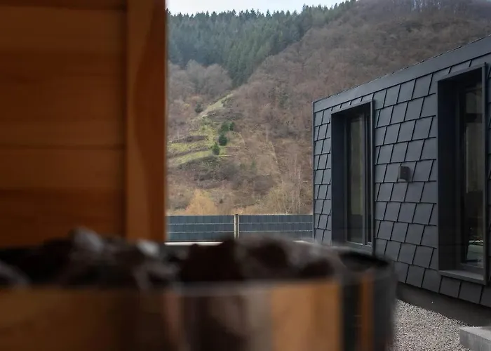 Vakantiehuis Velo & Wohnen -neu- Elektroraeder Inklusive-sauna-moselblick *